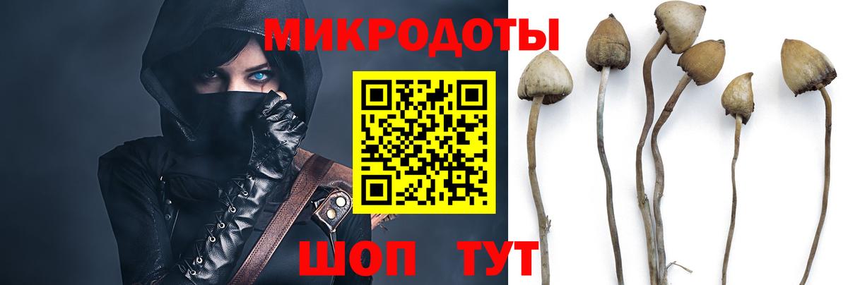 Галлюциногенные грибы Cubensis  Вход с VPN  Гурьевск 