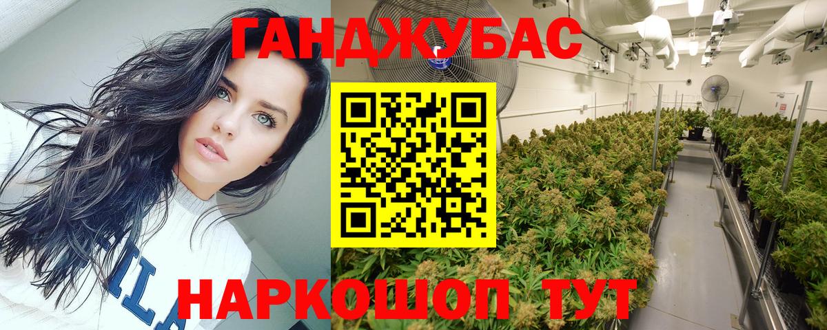 Каннабис OG Kush  Бошки Шишки план  Конопля тримм  Вход с VPN  Гурьевск 